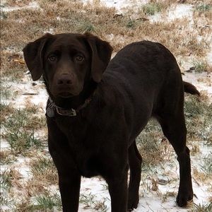 Meet your Posher, Hunter